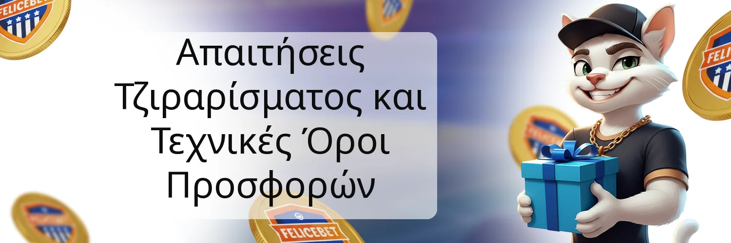 Απαιτήσεις Τζιραρίσματος και Τεχνικές Όροι Προσφορών Απαιτήσεις Τζιραρίσματος και Τεχνικές Όροι Προσφορών